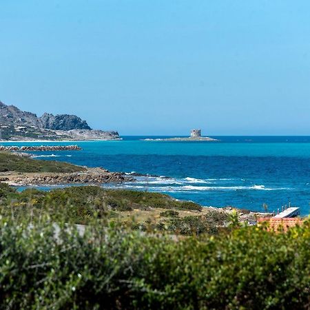 Sardinia Re - Villino Punta Negra Villa Stintino Exterior photo